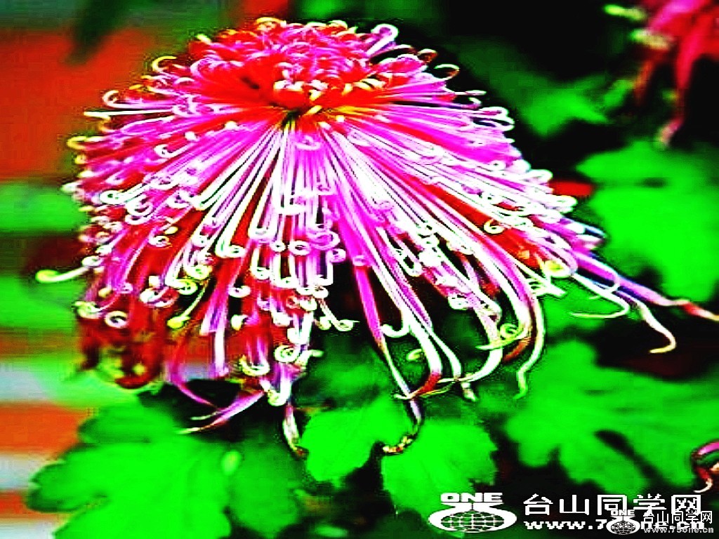 2_5679_092e9b458403fa5_conew1.jpg