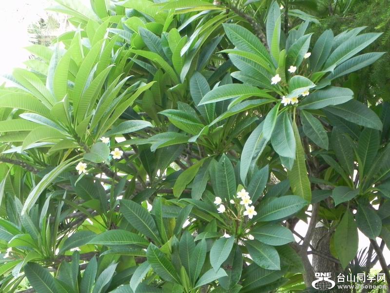  DSCN0936.JPG