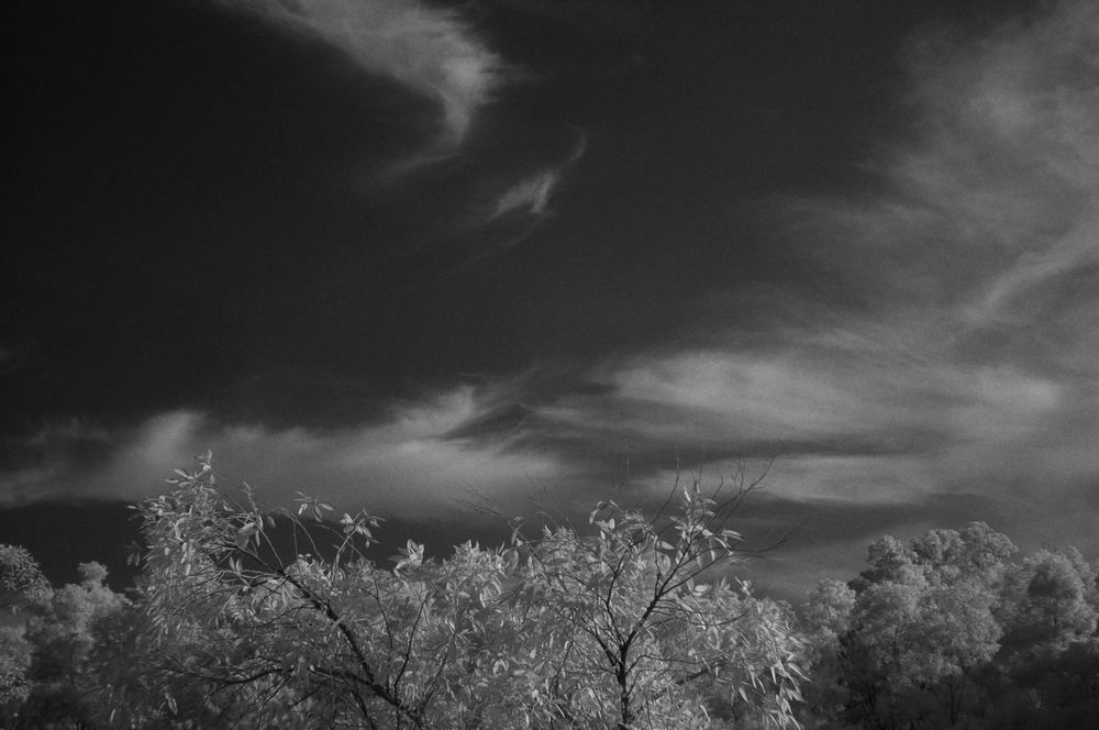 DSC_0185_СС.jpg