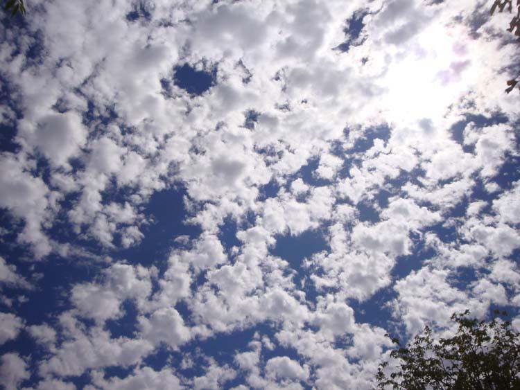 103_6254_6134c72fc38cf9c.jpg