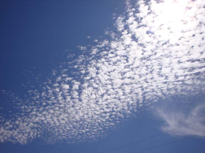 DSC09865.JPG
