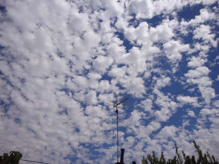 DSC01724.JPG