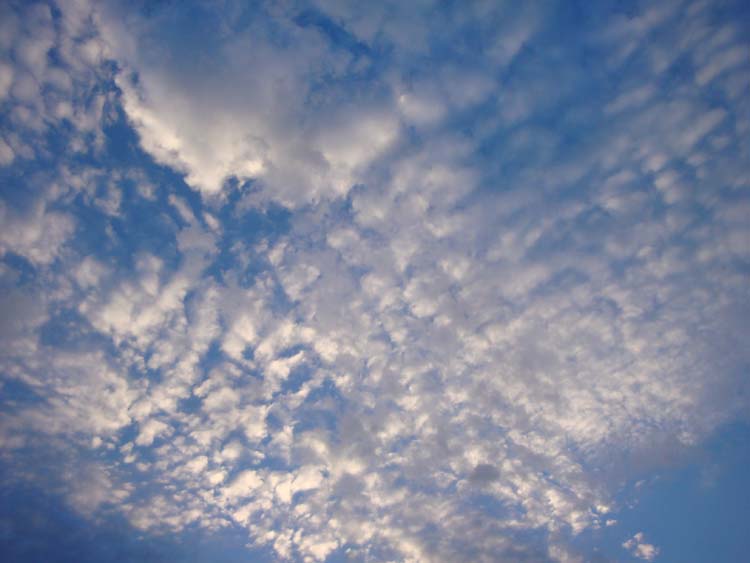 DSC01861.JPG
