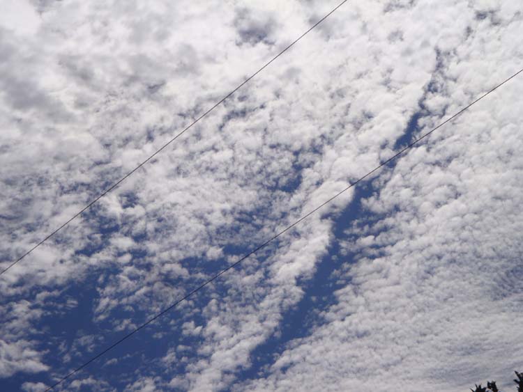 DSC01743.JPG