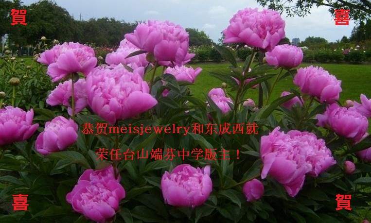 201064133522-copy-Ed2.jpg