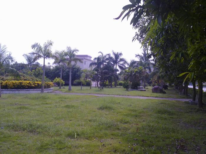 С 20101003295.jpg