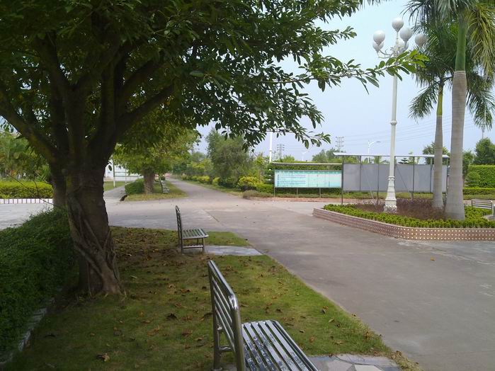 С 20101003323.jpg