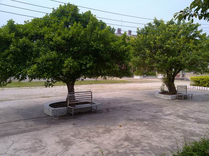 С 20101003322.jpg