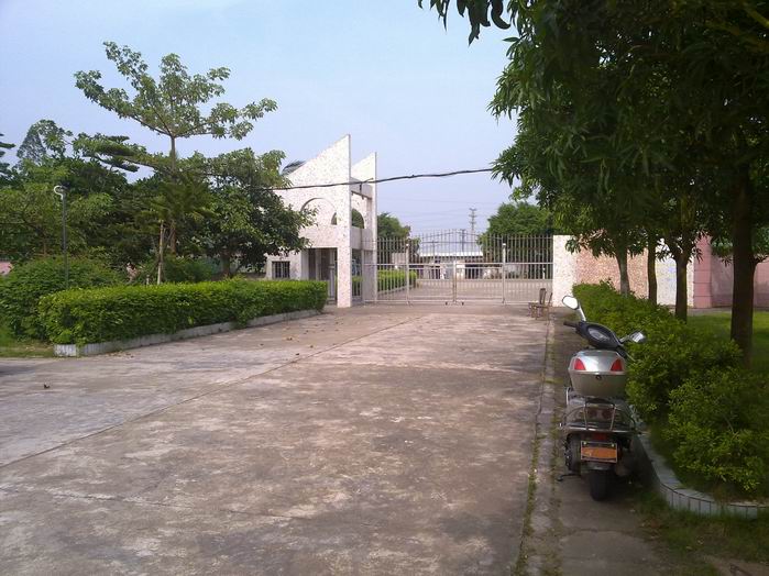 С 20101003291.jpg