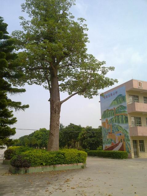 С 20101003262.jpg