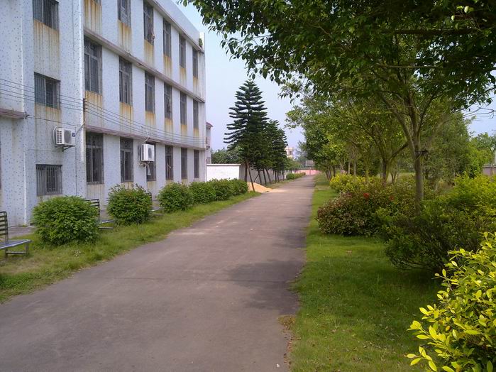 С 20101003274.jpg