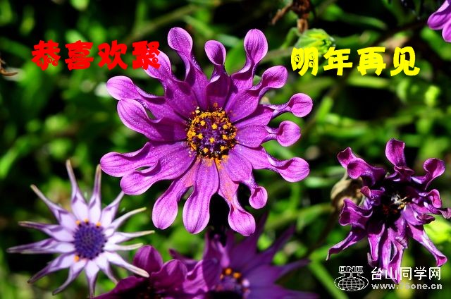20103297466_.jpg