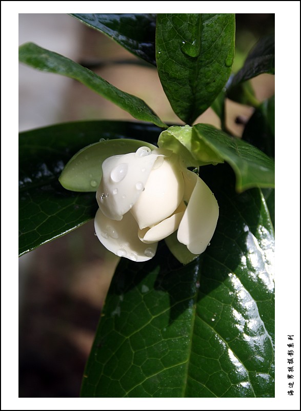 IMG_6272_conew1.jpg