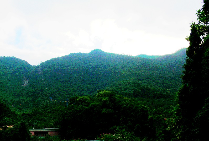 P1060549_Ӱ_2.jpg