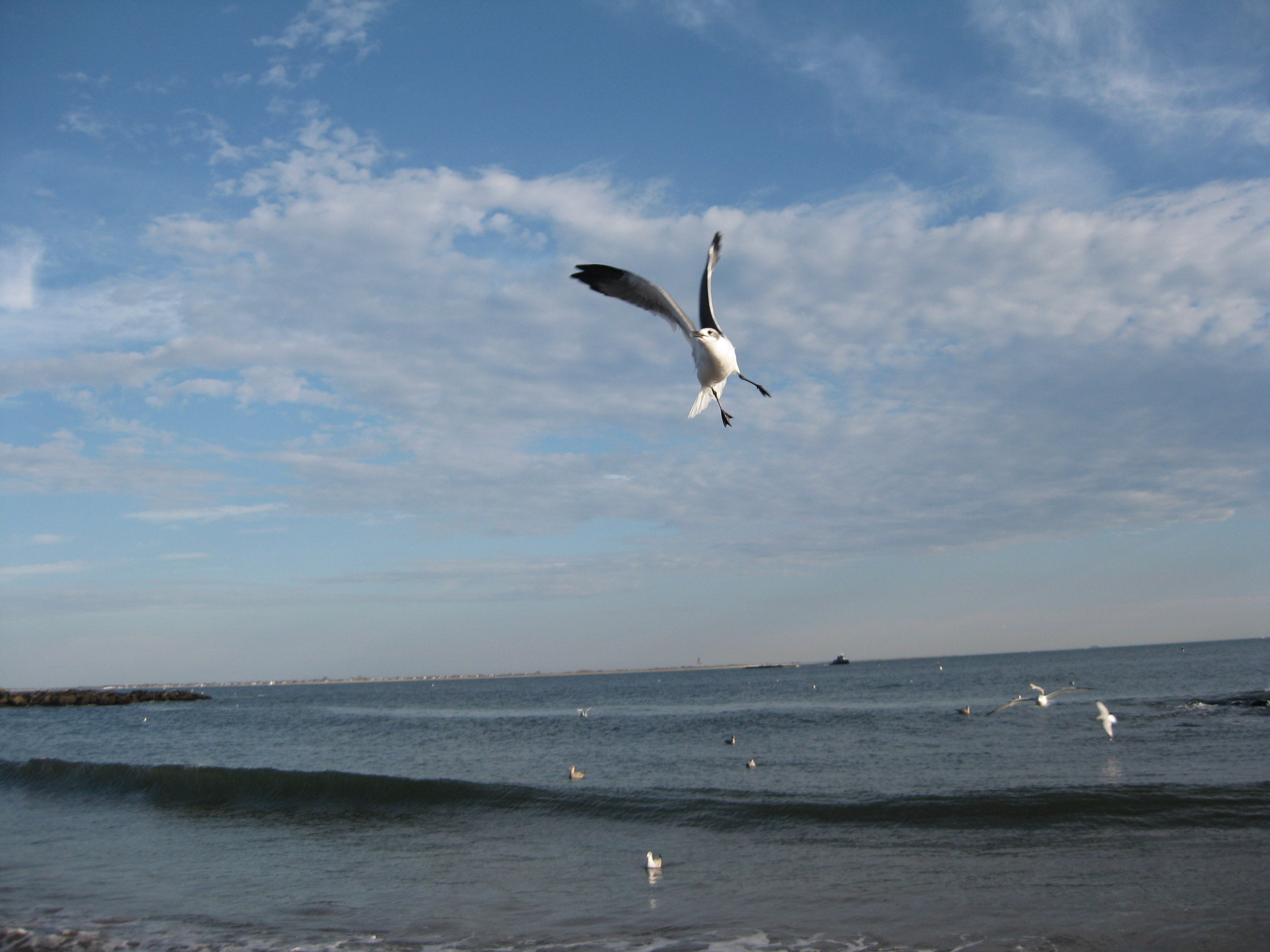 Long Island 120.jpg