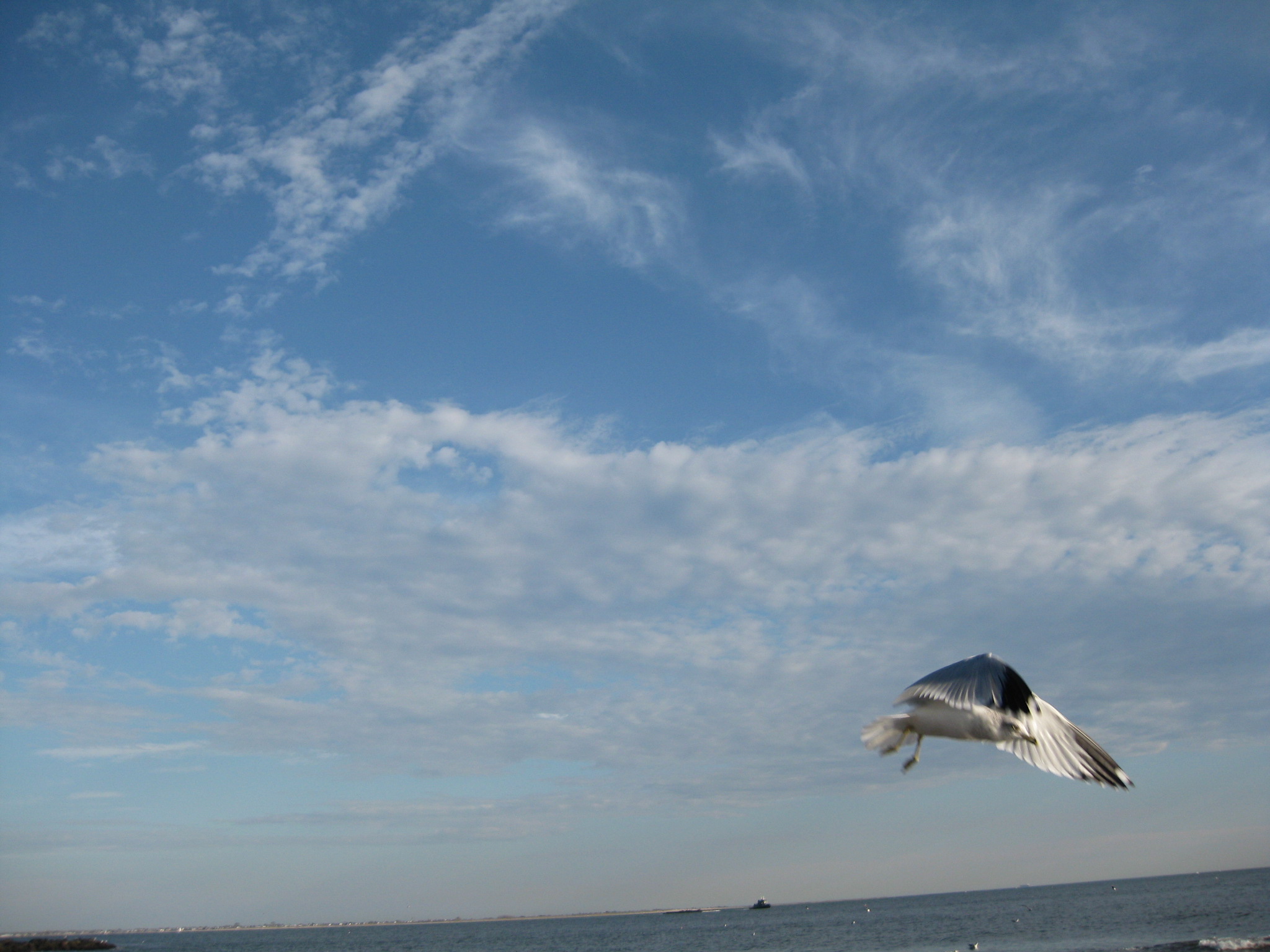 Long Island 119.jpg