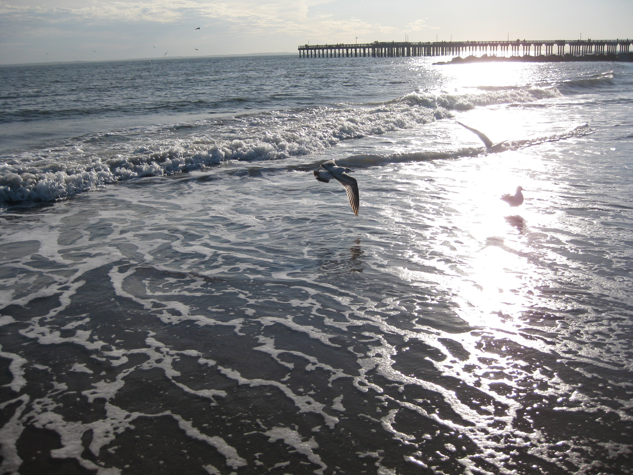Long Island 137.jpg