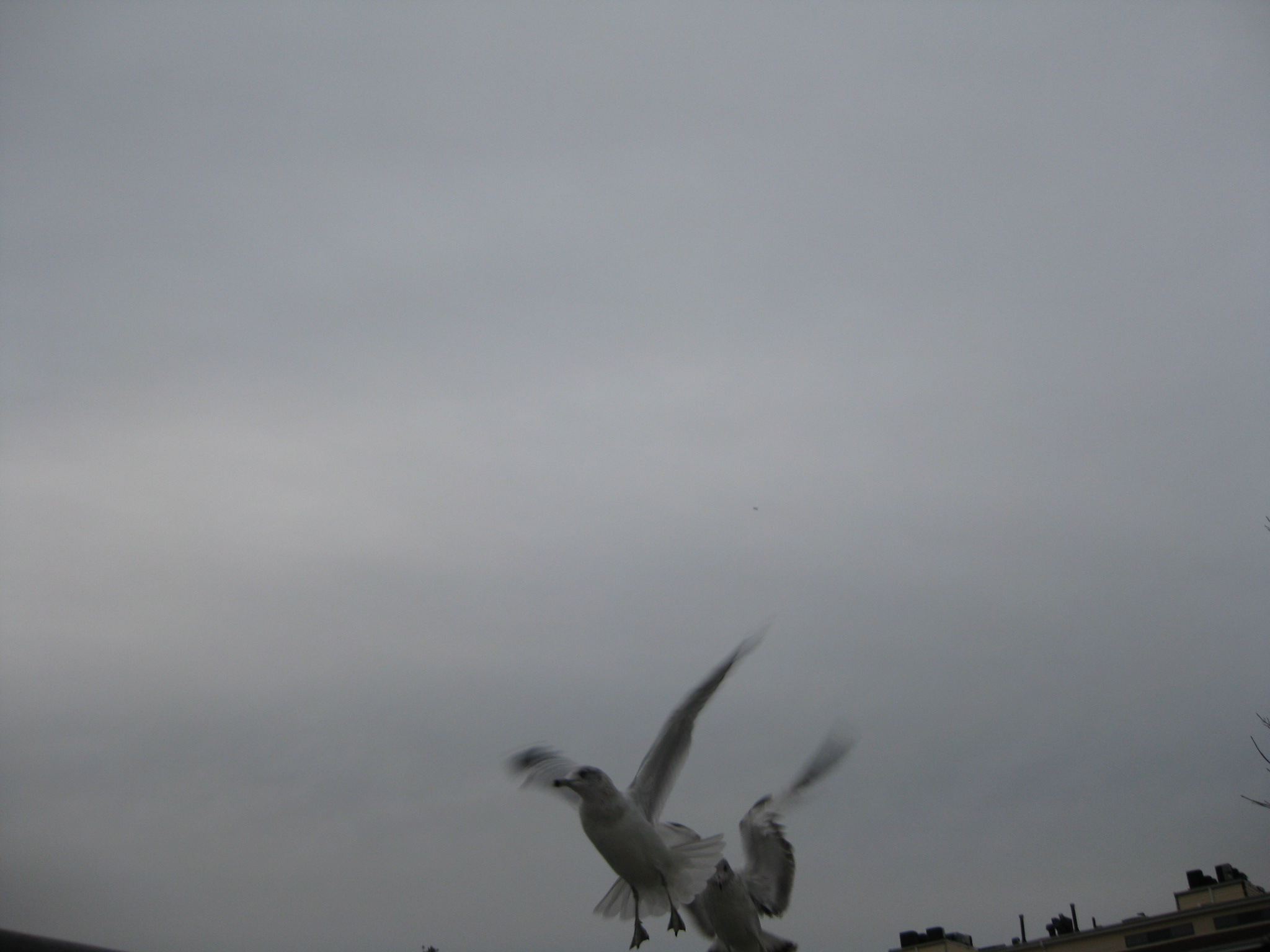 Fishing 046.jpg