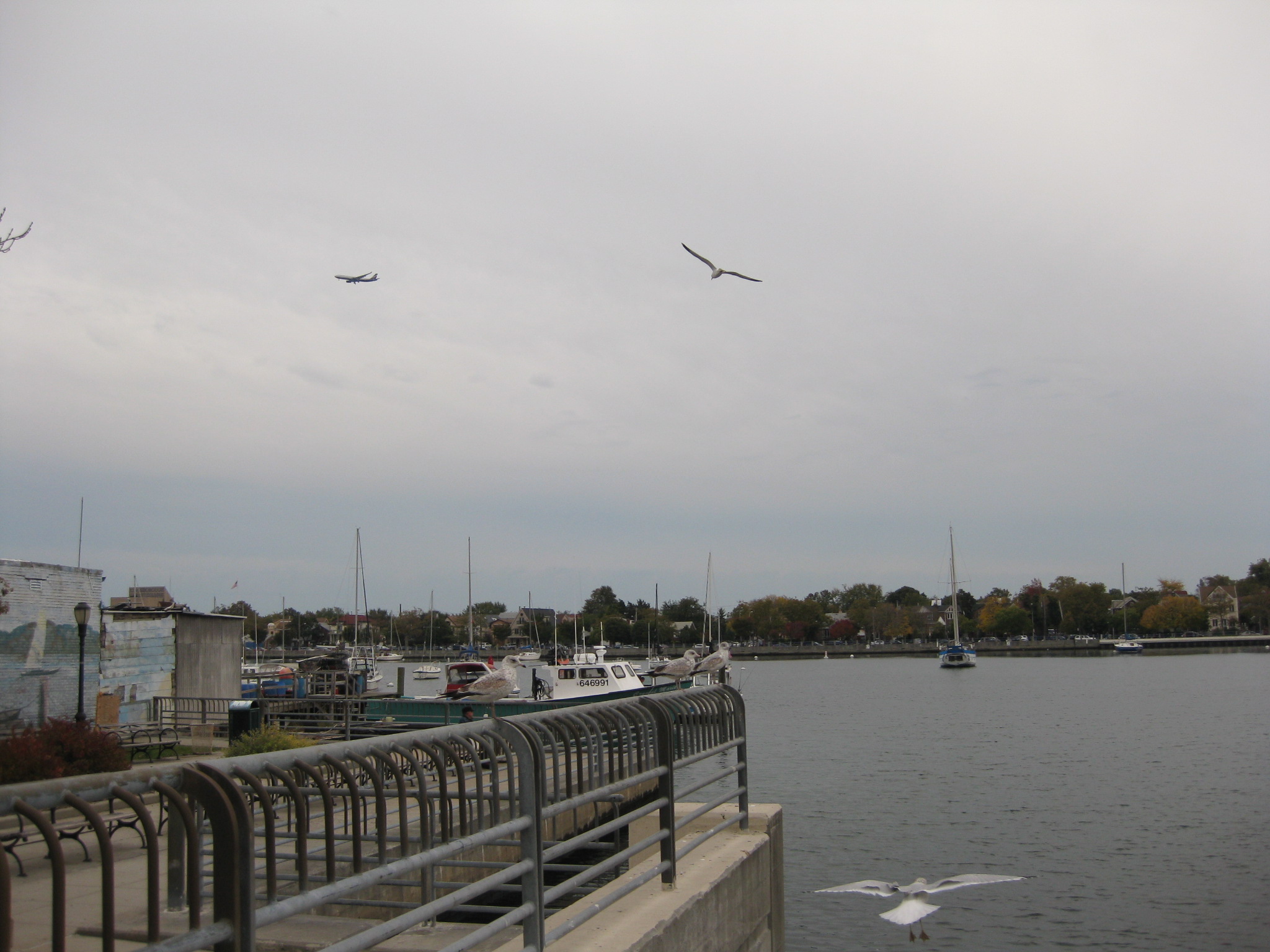 Fishing 030.jpg