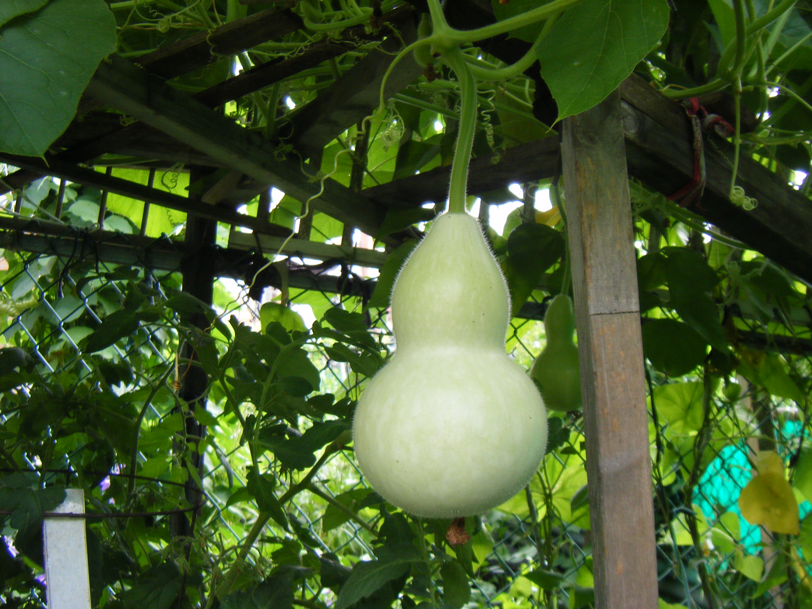 aug262010 436.jpg