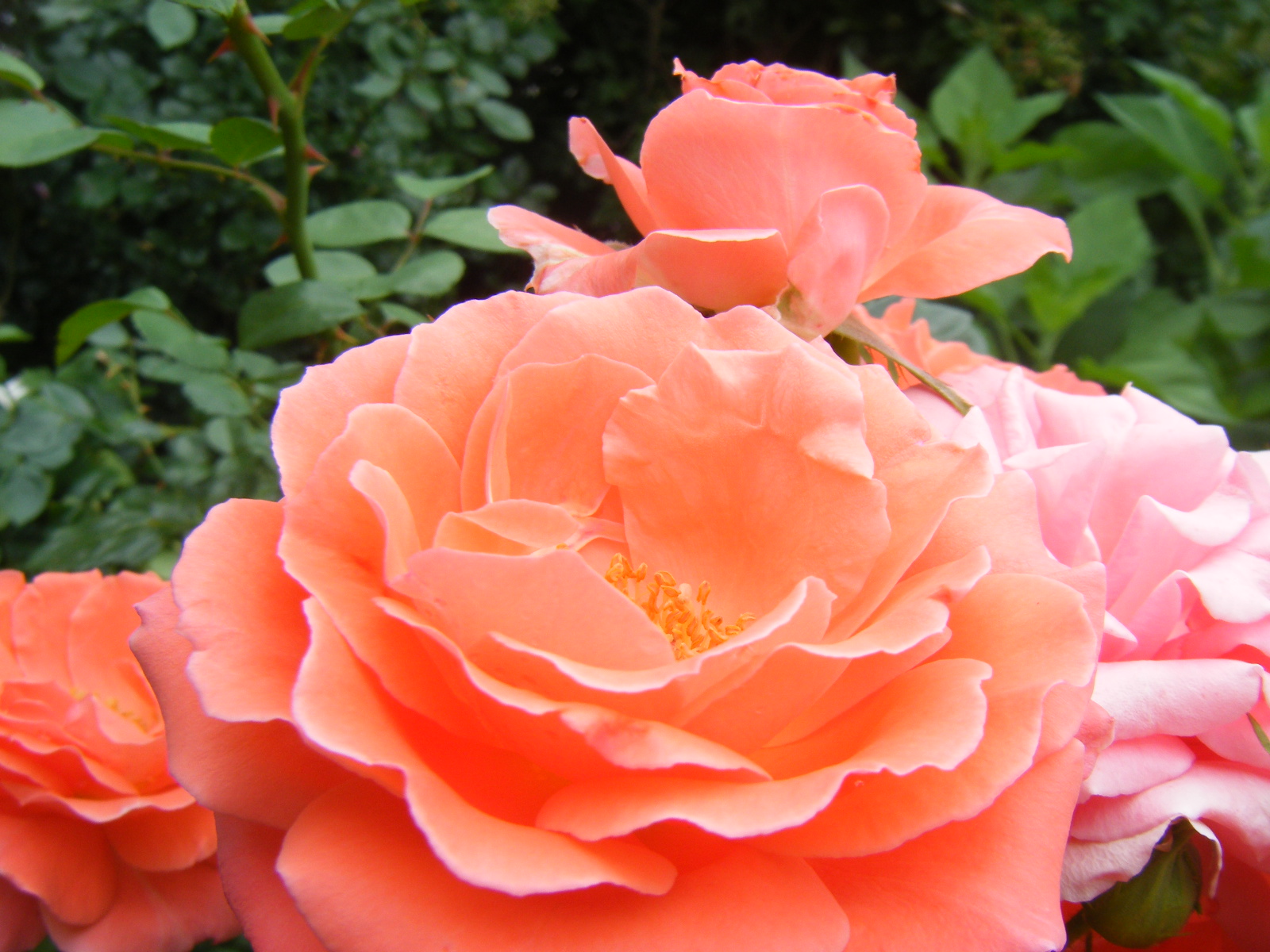 aug262010 300.jpg