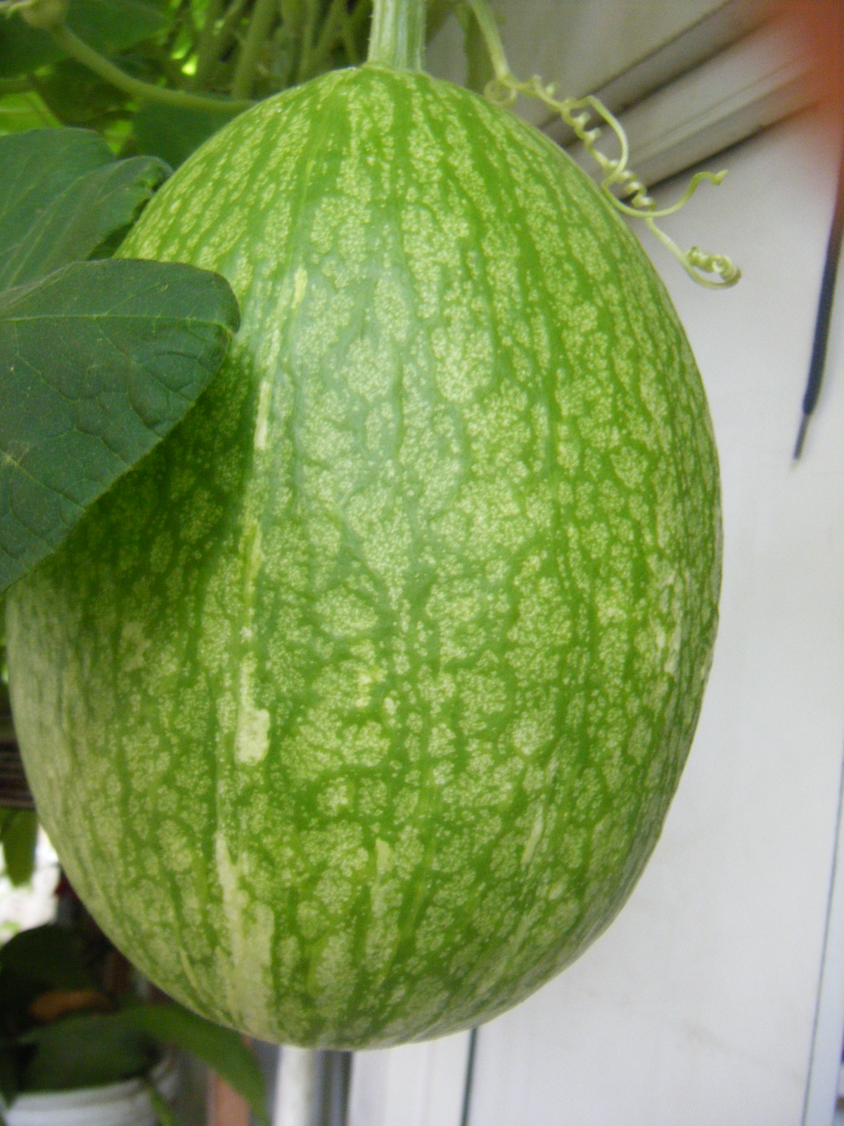 aug262010 459.jpg