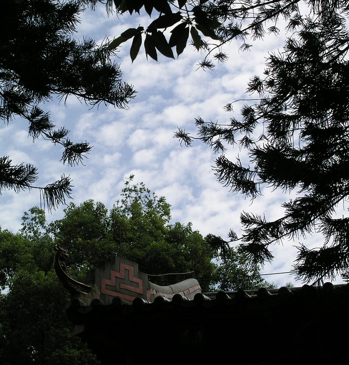 P1010082.JPG