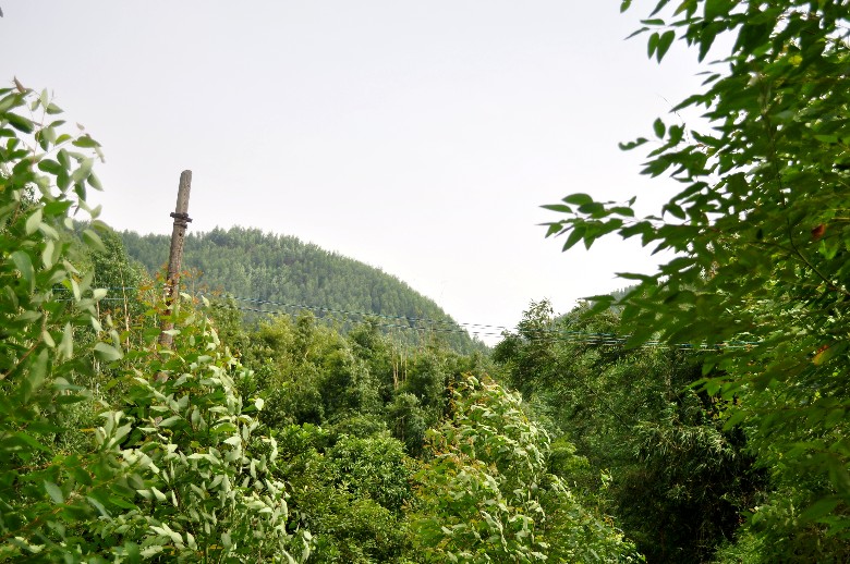 DSC_0373_.jpg