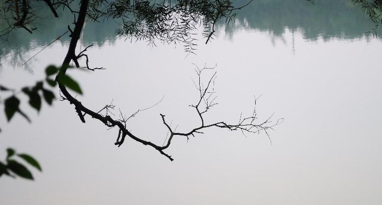 ˮ
