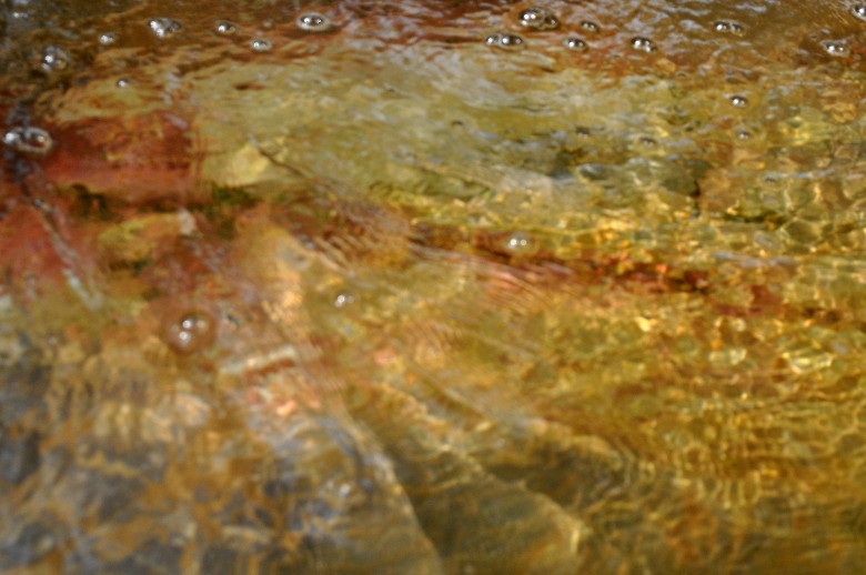 DSC_0364_.jpg