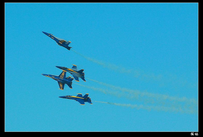 IMG_2335.jpg