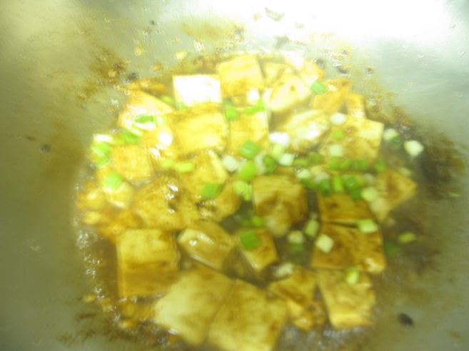 Tofu 010.jpg