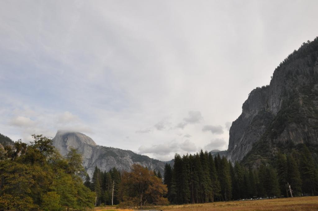 DSC_0221.JPG
