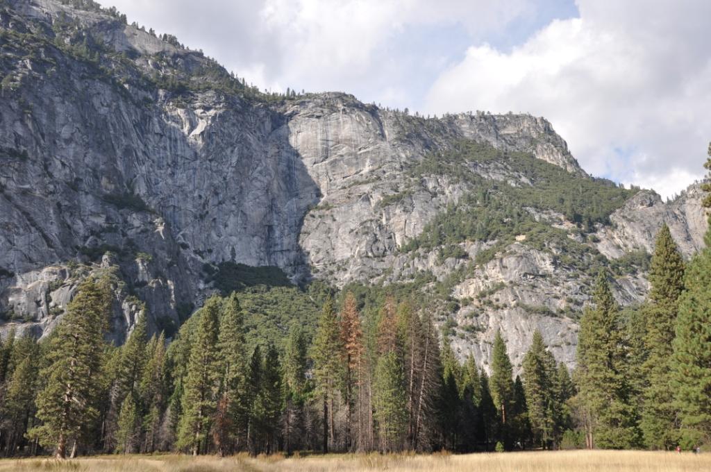 DSC_0095.JPG