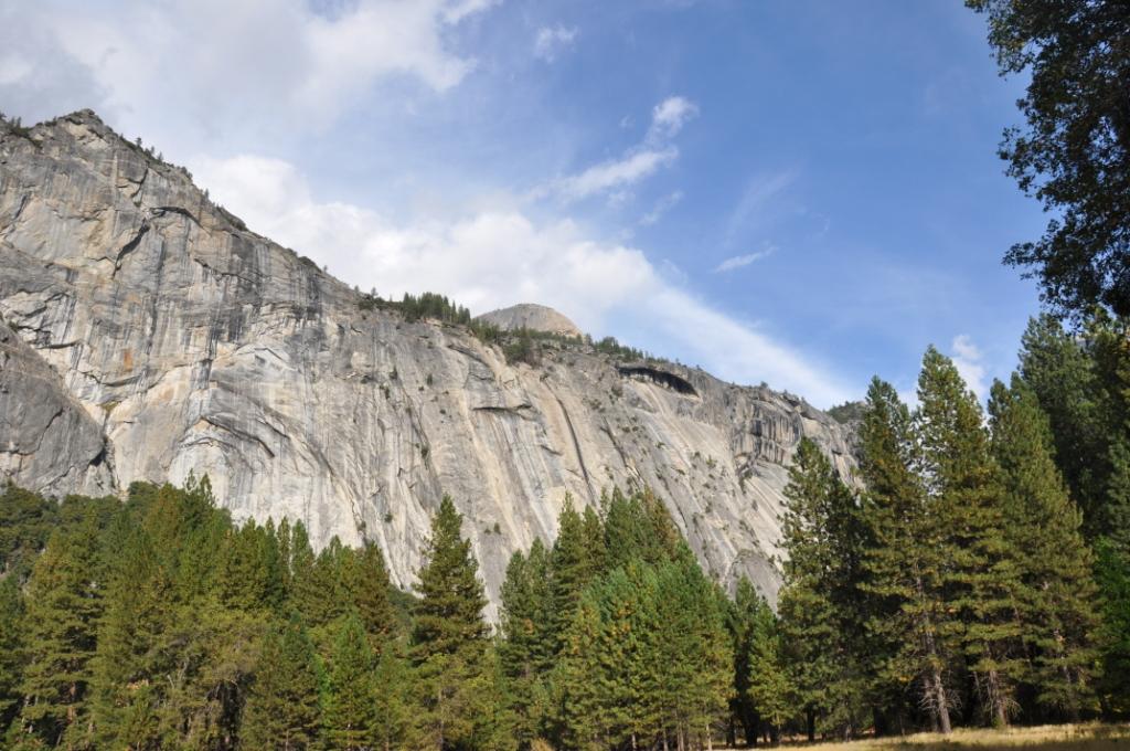DSC_0134.JPG