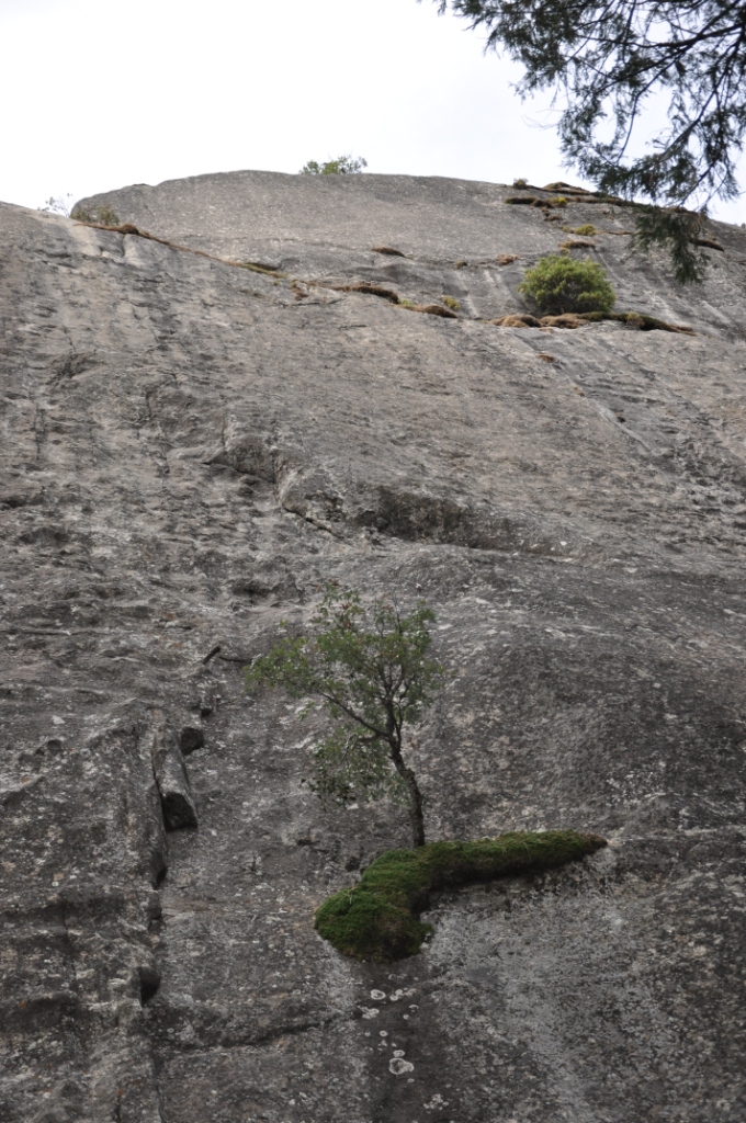 DSC_0211.JPG