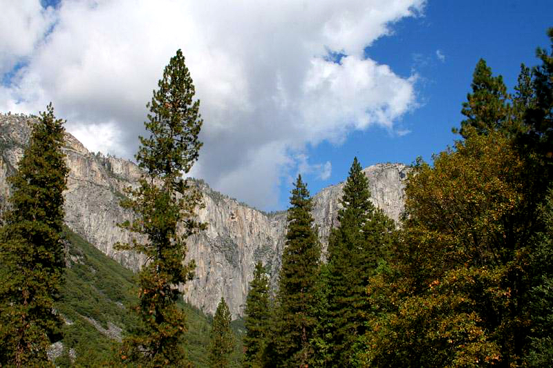 190_4517_332c65dc01393dd.jpg