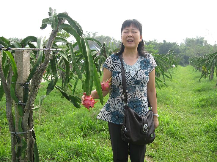 Ƭ 070.jpg