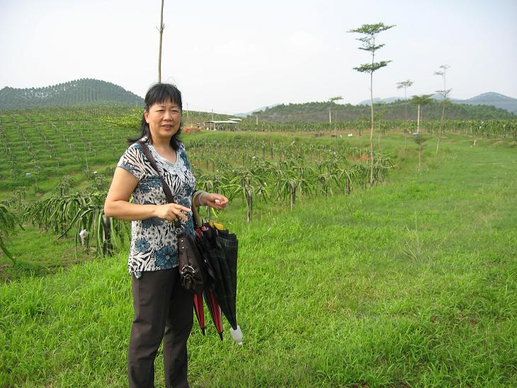 Ƭ 091.jpg