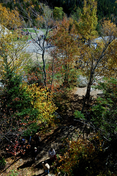 DSC_0549s.jpg