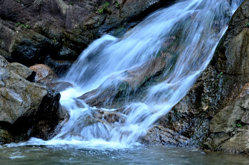 DSC_0470.JPG