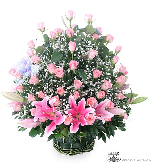 gifttopjjjflowerimagesjjj2006531151875023.jpg