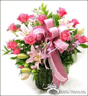2010816182340.jpg