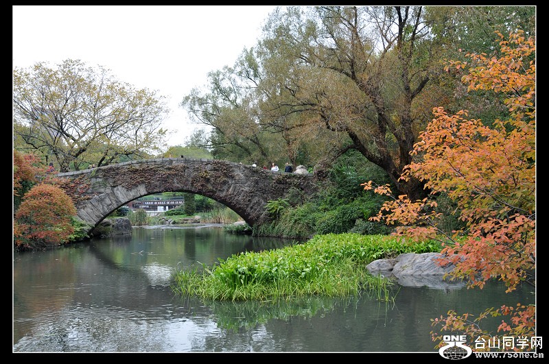 DSC_0656.jpg