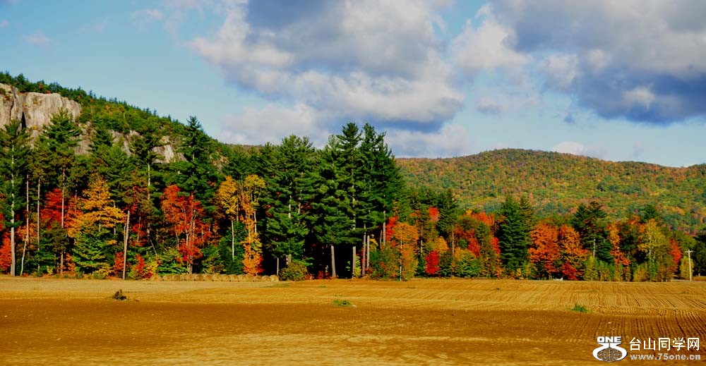 DSC_9135-1.jpg