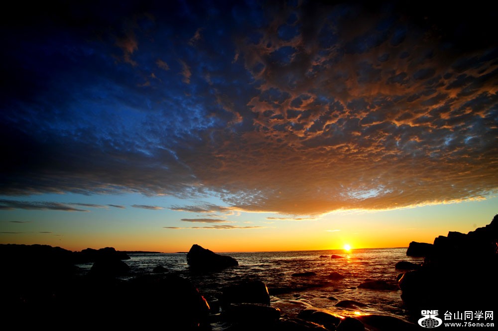 DSC_9825-1.jpg