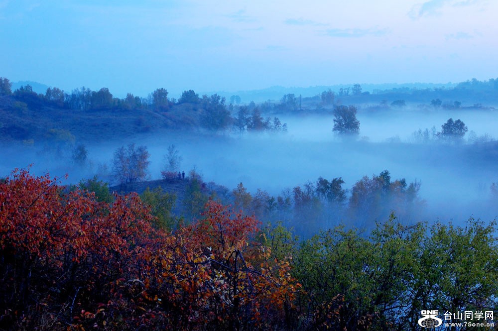 DSC_0166-1.jpg