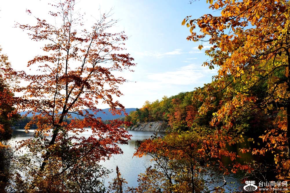 DSC_1065-1.jpg