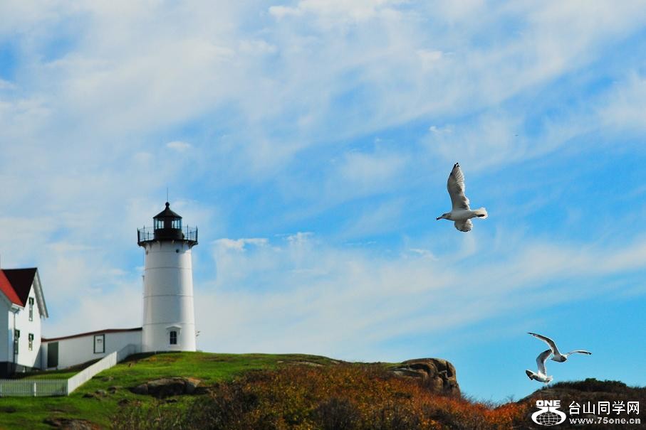 DSC_6223.JPG