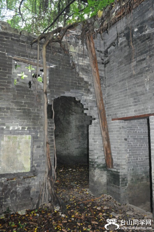 DSC_2645.jpg